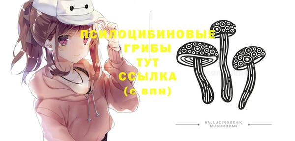 дживик Остров