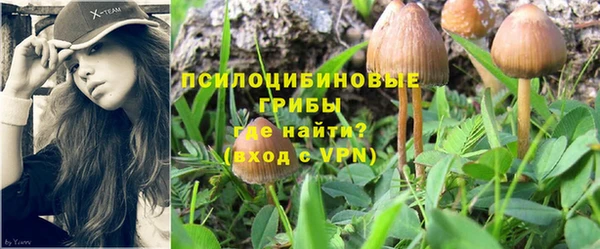 мяу мяу кристалл Осинники