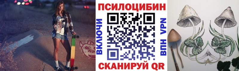 что такое наркотик  Тетюши  Псилоцибиновые грибы MAGIC MUSHROOMS 